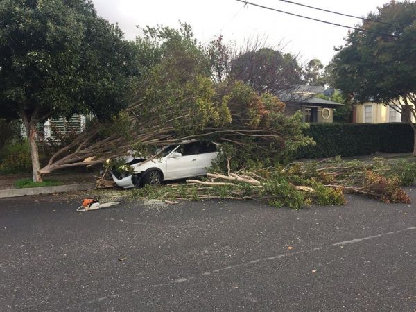 San Leandro Ca Car Accident San Leandro Ca Car Accident