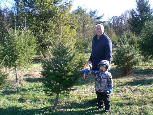 Where to Cut Your Own Christmas Tree Near Newtown - Newtown, CT Patch