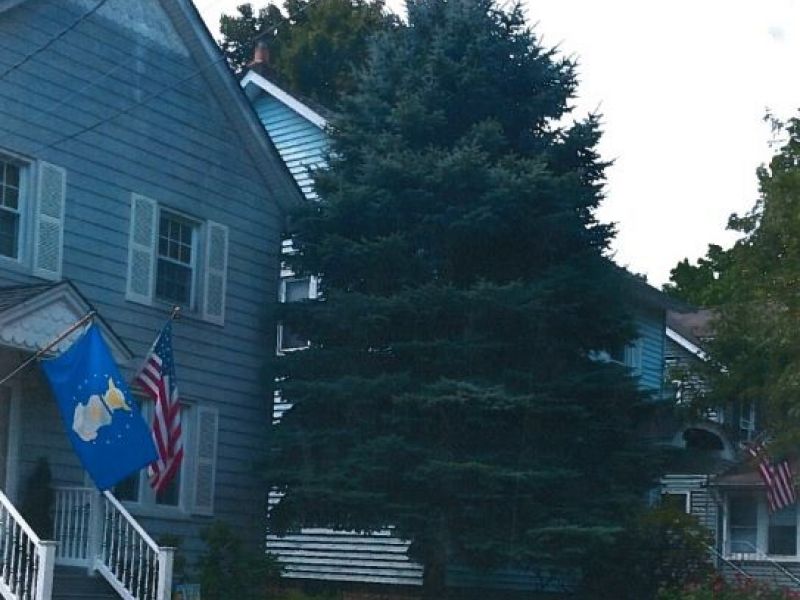 Deals roselle park