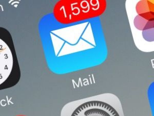 'Stop White Genocide - Vote Trump!' Emails Land in Harvard Student Inboxes: Report