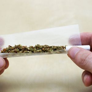 Massachusetts Marijuana Legalization: What You Should Know 