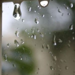 More Rain on Its Way - Particularly Overnight Through Thursday 