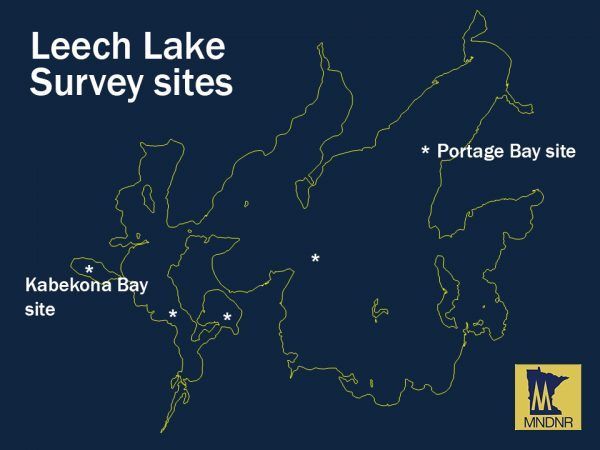 Leech Lake Department Of Natural Resources Leech Lake Department Of Natural Resources