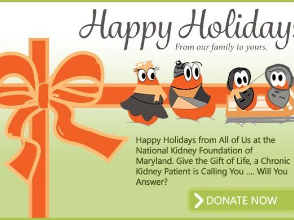 Nkf Dialysis cost