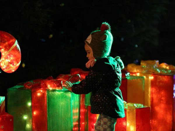 9 must see christmas lights displays in northeast ohio christmas lights strongsville ohio