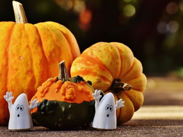 Beware of flammable costumes which could cause 'life changing burns' this Halloween