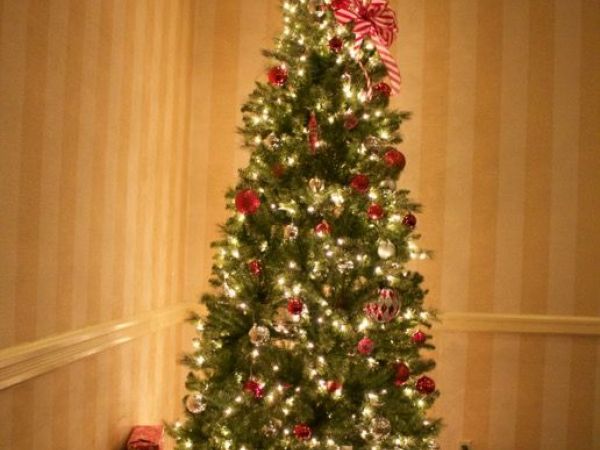 when does christmas tree collection begin in concord when does christmas tree collection begin in concord