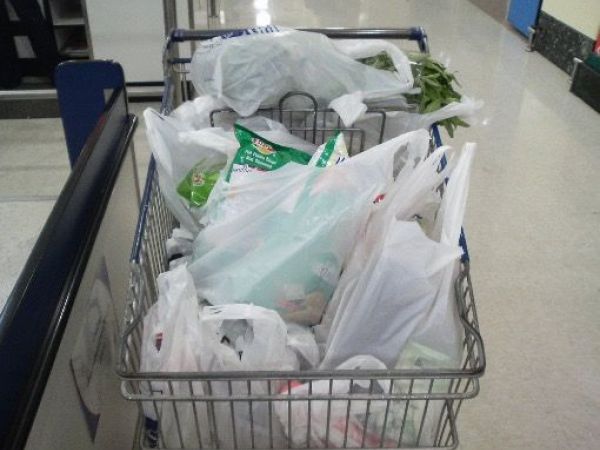 How to Survive and Thrive Under California's New Plastic Bag Ban