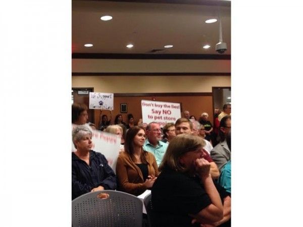 pet stores in nj that sell puppies haddonfield considers ordinance banning sale of dogs and cats in borough pet stores pet stores in nj that sell puppies haddonfield considers ordinance banning sale of dogs and cats in borough pet stores