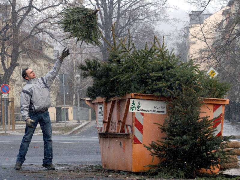 houston s christmas tree recycling underway the houston s christmas tree recycling underway the