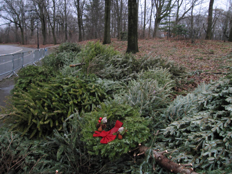 christmas tree recycling in philadelphia when where and christmas tree recycling in philadelphia when where and