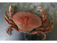 Norwalk, CT Patch - Breaking News, Local News, Events ...