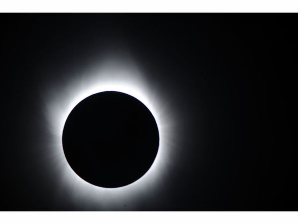 Eclipse Natural History Museum New York Eclipse Natural History Museum New York