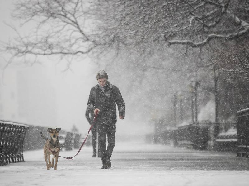 DC Snow Update Snowfall Expected Deep Into Sunday Washington DC, DC