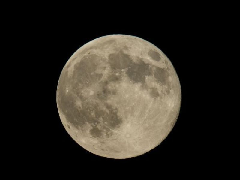 Last Chance To See Pink Full Moon Coventry Ri Patch Last Chance To See Pink Full Moon