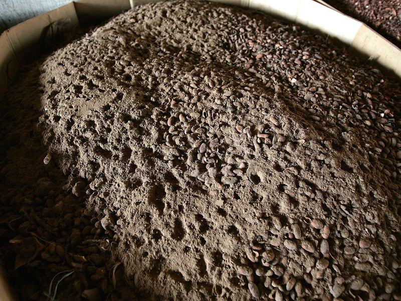 The New Snortable Stimulant: Coco Loco - Patch.com