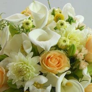 Glastonbury Obituaries | Glastonbury, CT Patch