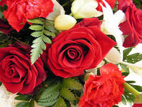 Southington Obituary: Saxxon Mackiewicz, 27