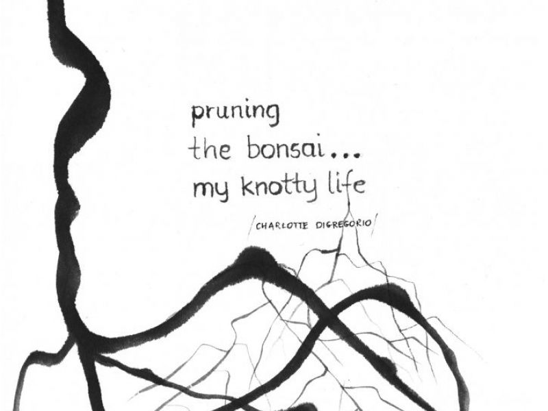 HaikuArt Exhibit to Capture the Moments of Your Life IL Patch