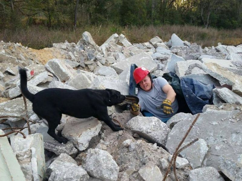 Lakeland Fire Dog Earns FEMA Credentials | Lakeland, FL Patch