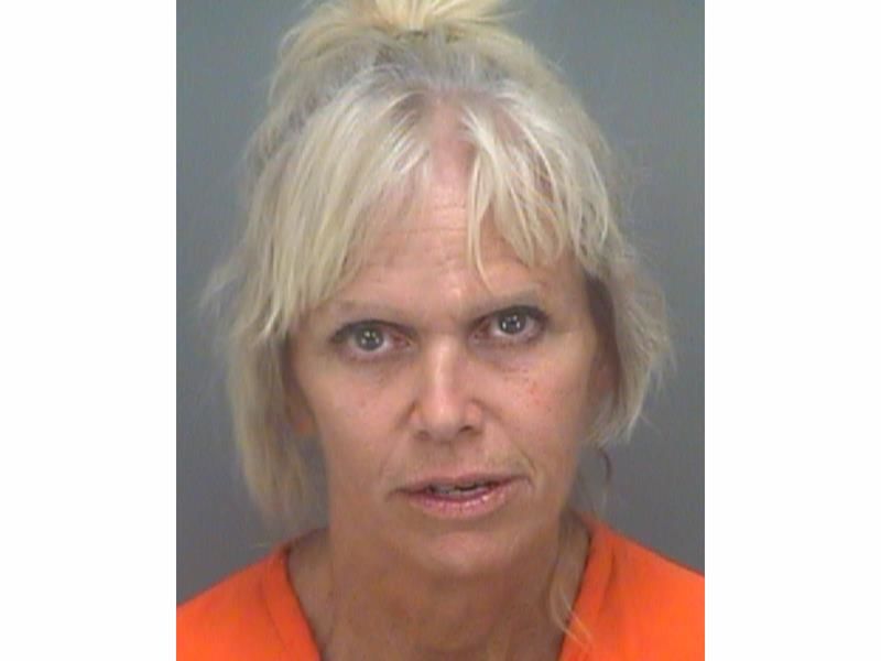 Pinellas county escorts