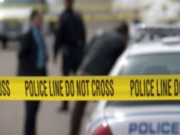 Cops: Pit bull kills owner during attack outside home