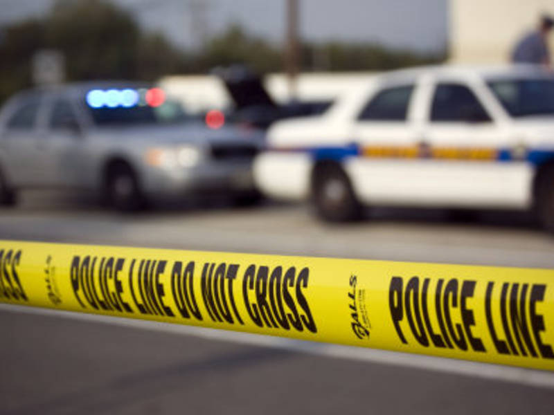 pedestrian killed crossing elmwood park street identified police elmwood park nj newspaper