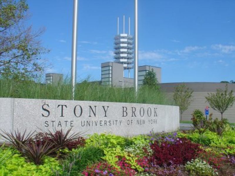 deans email sparks debate over free speech under trump at stony stony brook recommendation letter