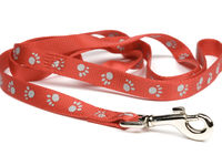 17 Pets Still At San Mateo Shelter After Escaping During Fireworks 