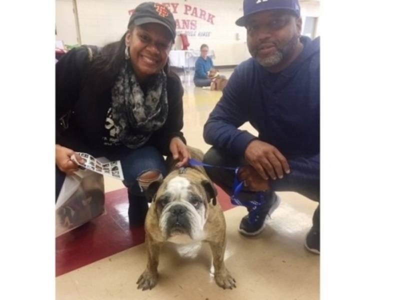 Tinley Park HS Teams Up with P.A.W.S. to Host Pet Adoption ...