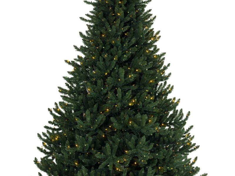 Troop 428 John Wilkinson Memorial Christmas Tree Pick-Up Branford Troop 428 John Wilkinson Memorial Christmas Tree Pick-Up - Troop 428 John Wilkinson Memorial Christmas Tree Pick-Up Branford