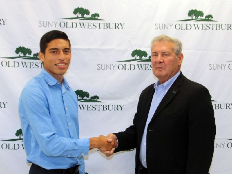 Old westbury admissions essay