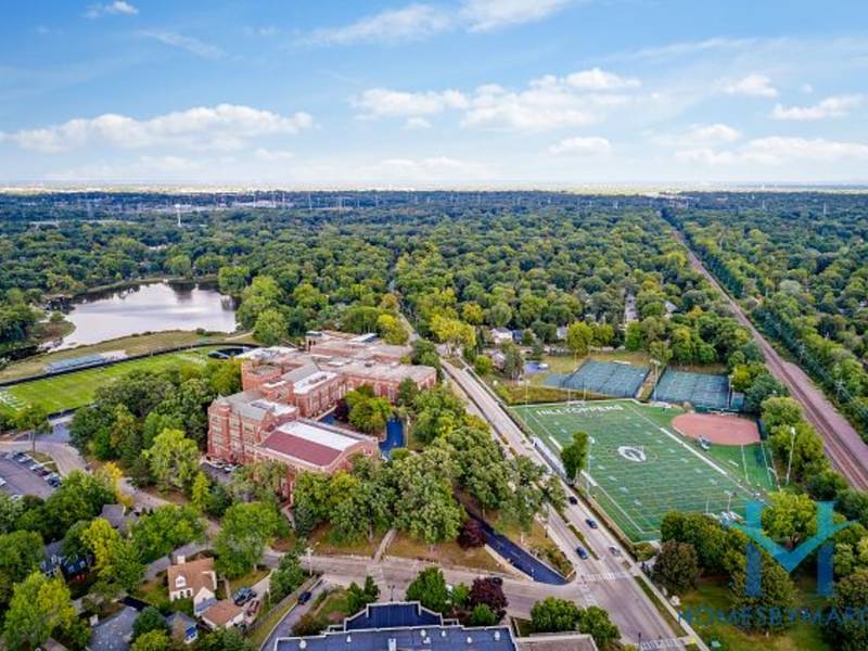 Glen Ellyn Woods, Glen Ellyn, Illinois November 2017 Glen Ellyn, IL