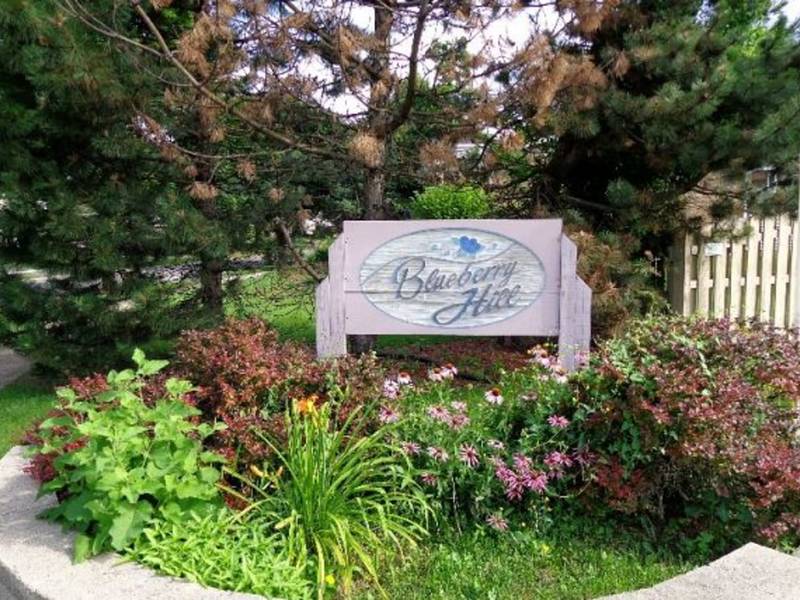Singles in libertyville illinois