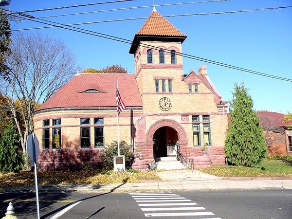 Friends of the Hoover Library group ready for 2017 spring book sale