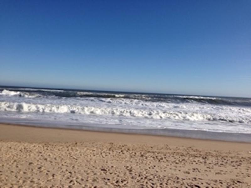 Which Hampton Beaches Scored Best East Ny Patch Which Hampton Beaches Scored Best East