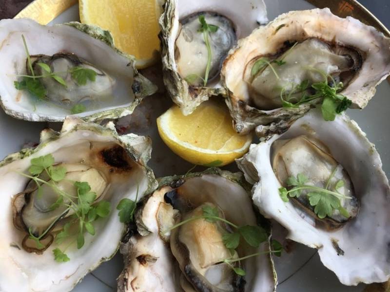 4 New Restaurant Openings In North Jersey Westwood Nj Patch 4 New Restaurant Openings In North Jersey