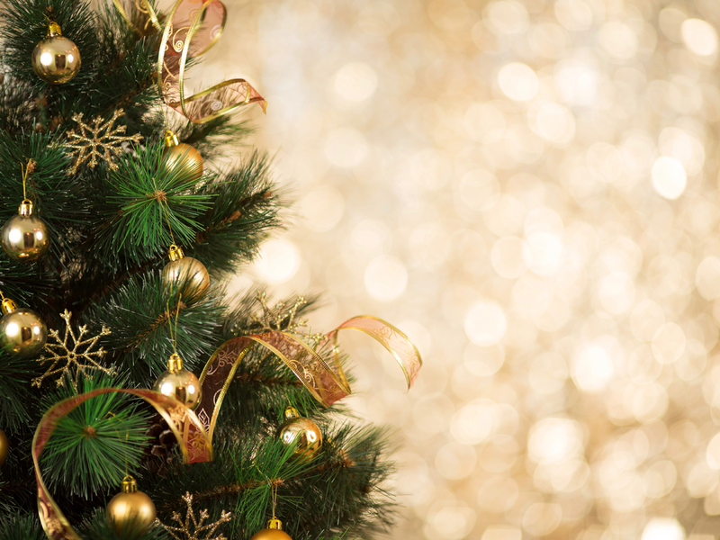 Dec 3 Christmas Tree Lighting Santa 2021 Castro Valley Castro Valley Ca Patch