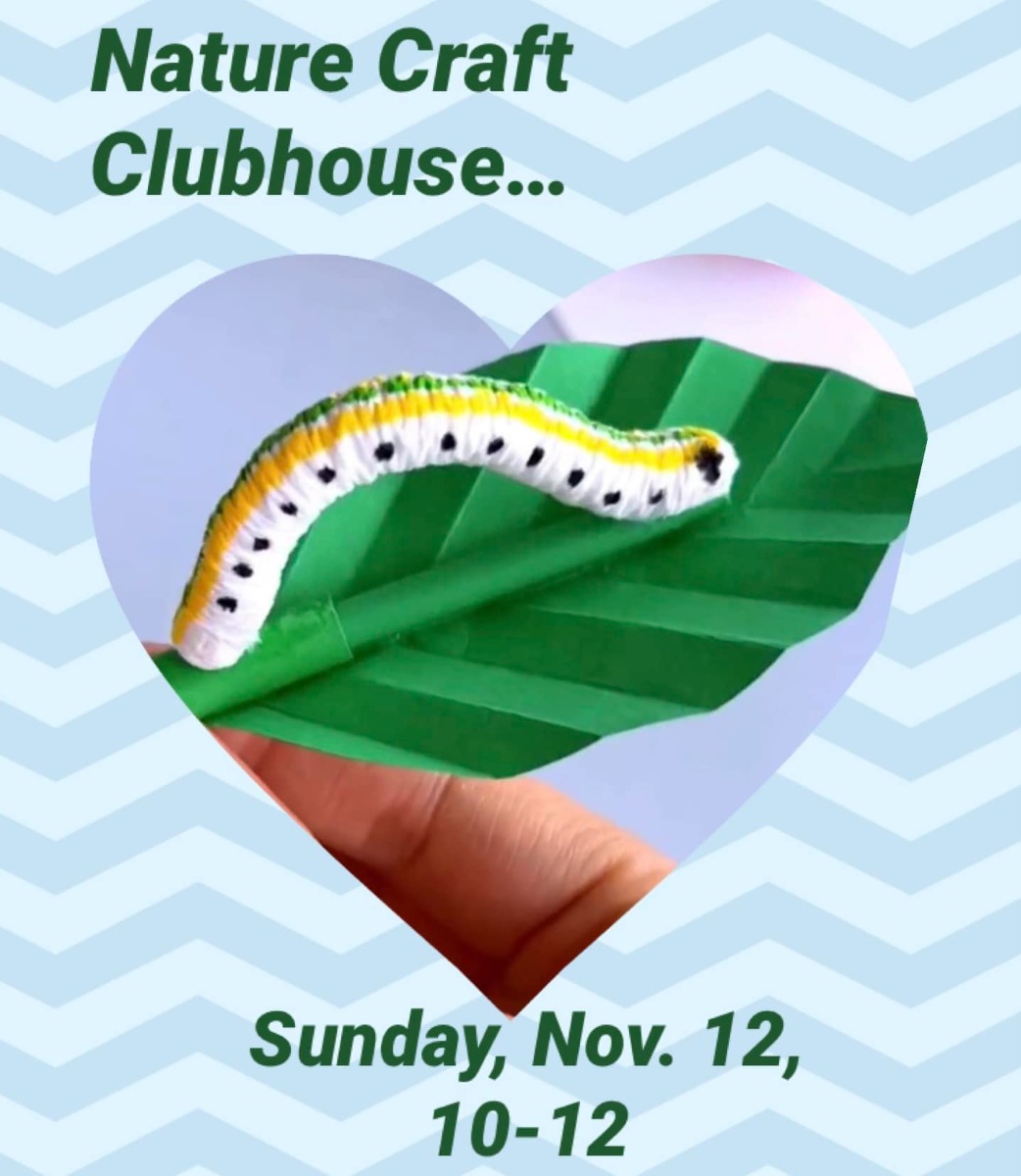 Nov 12 Buena Vista Audubon Craft Clubhouse For Kids 2023 Oceanside