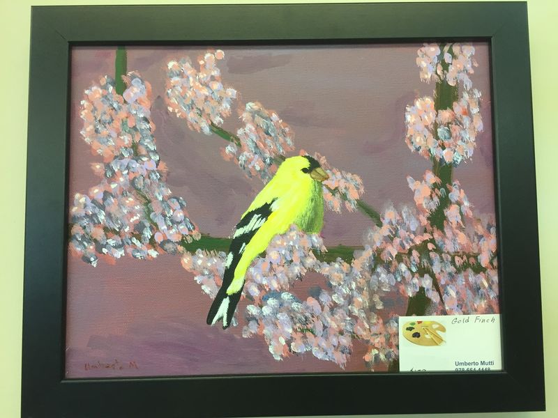 New Local Artist Featured at South Branch of Peabody Library Peabody