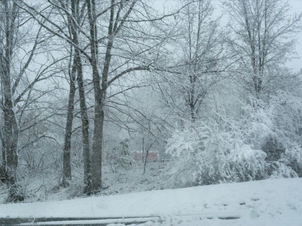 Winter Storm Warning Issued for Milford
