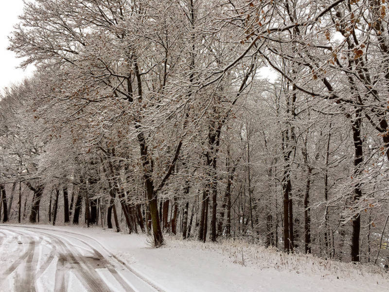 Connecticut Weather: Snow Accumulation Estimates Rise ... Connecticut Weather: Snow Accumulation Estimates Rise ...