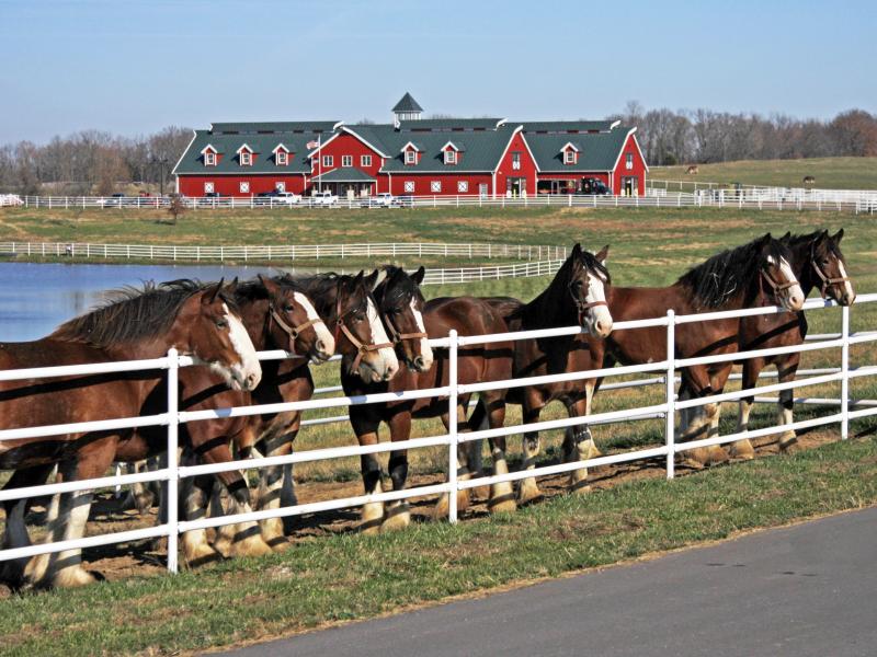 Budweiser Tour Prices Budweiser Tour Prices