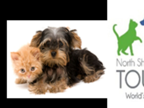 puppy finder nj looking for a puppy find one at pet adoption event sunday toms river nj patch puppy finder nj looking for a puppy find one at pet adoption event sunday toms river nj patch