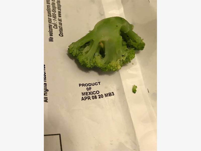 Bugs Found In ShopRite Frozen Broccoli, 2 NJ Women Say Brick, NJ Patch