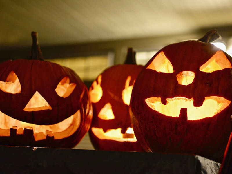 toms river holding halloween magic show movie on the beach