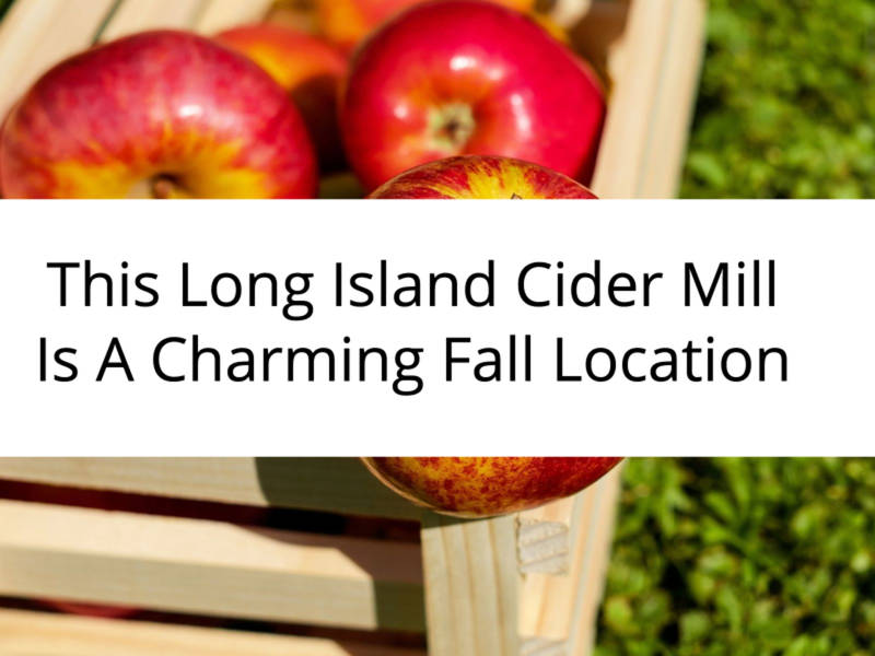 Cider Donuts Long Island Cider Donuts Long Island