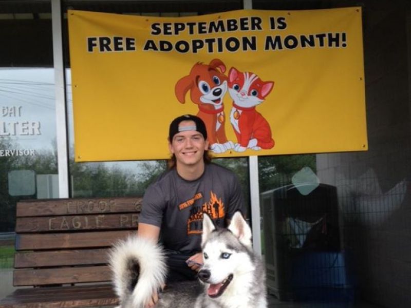 Town of Oyster Bay Animal Shelter Offers Residents Free Adoptions For