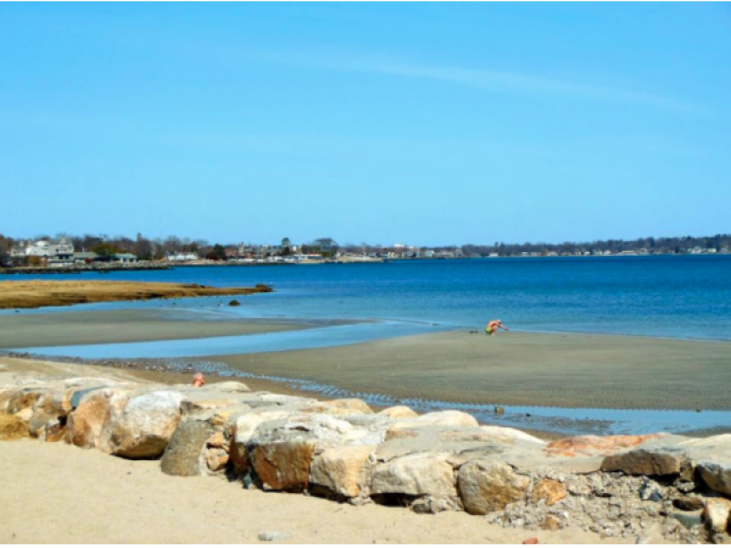 Sea Lice Found at Greenwich Beaches Greenwich, CT Patch