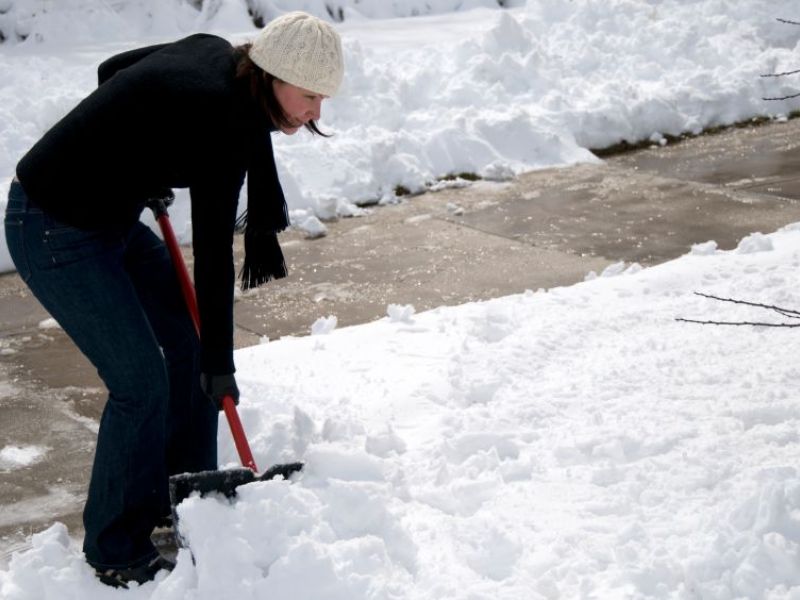 (Update) Alexandria Weather 2017 Snowstorm Live Feed Greater